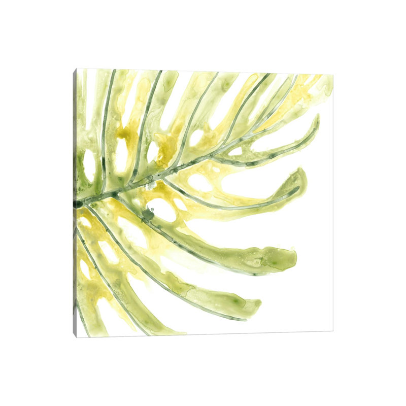 Verdant Impressions IX by June Erica Vess - Wrapped Canvas Gallery-Wrapped Canvas Giclée, 66.04 cm H x 66.04 cm W