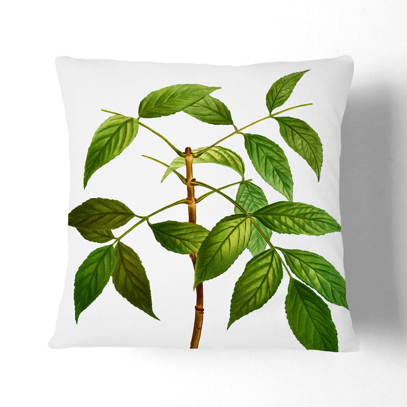 Square Throw Cushion, 55cm H x 55cm W x 20cm D