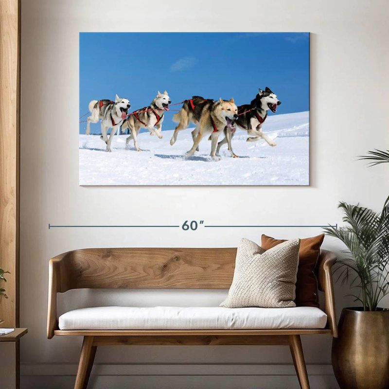 Chiens de traîneau Husky, H 32 po x l 48 po