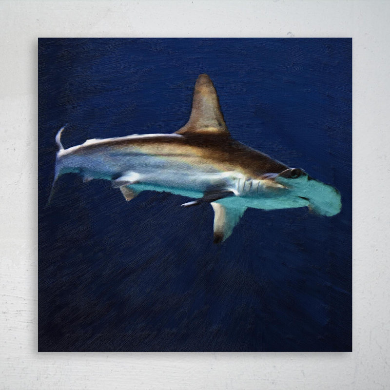 Hammerhead Shark - 1 pièce, impression carrée sur toile tendue, H 32 po x l 32 po