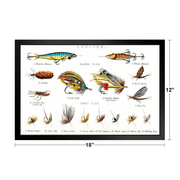 Angling Salmon and Trout Flies Illustration Black Wood Framed Art Poster 20x14 Trinx
