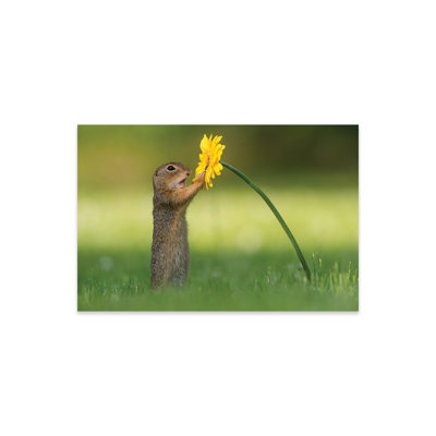 Curious Ground Squirrel On PlasticAcrylic by Dick Van Duijn Painting