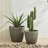 Pot Planter