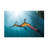 Richard Wylie  Weedy Seadragon Profile Canvas Art-1517674652