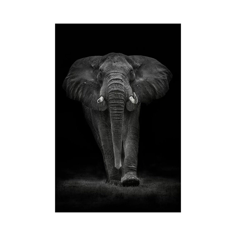 «Nhorongoro Bull» par Mario Moreno, impression sur toile tendue, H 26 po x l 18 po x 1,5 po