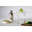Entertain 295ml Stainless Steel Margarita Glass Set