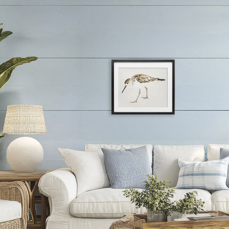 Sandpiper Shore Bird, H 13 po x l 16 po, Cadre noir minuit