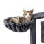 146cm H Cat Tree-420178800