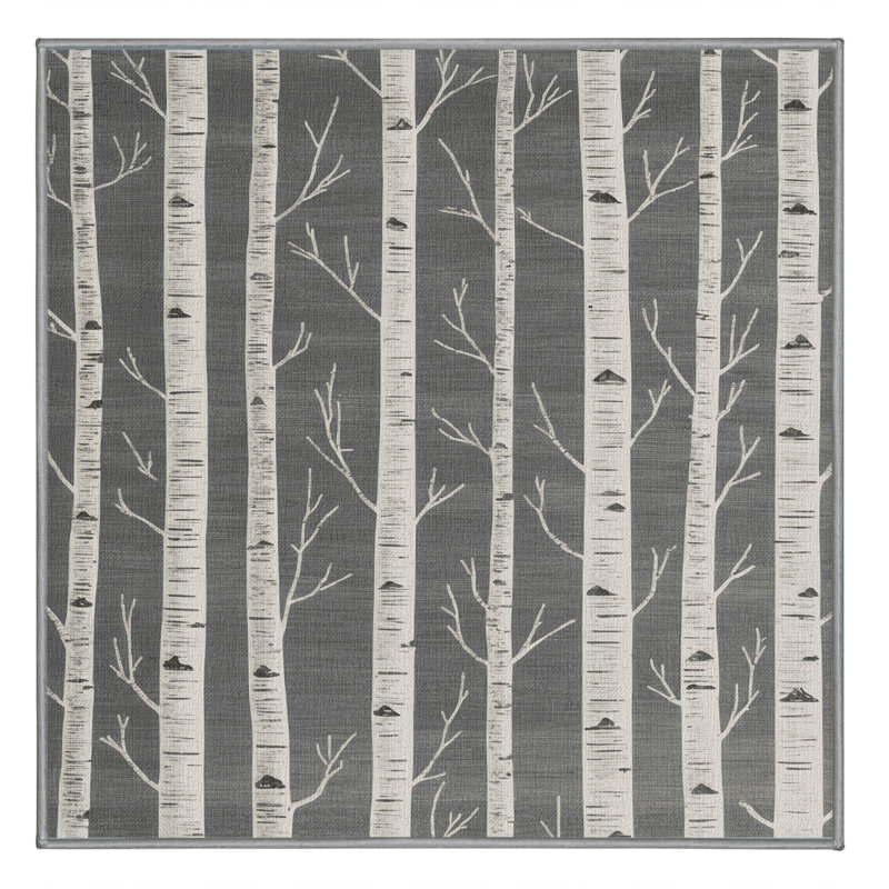 Machine Washable Nature Gray Area Rug, Square 4'
