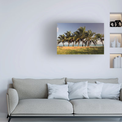 Art sur toile, bolologia Robert