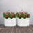 2PCS Metal Raised Garden Bed Planter Box