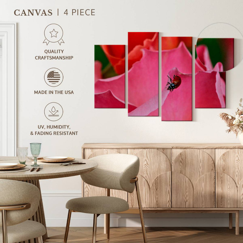 Coccinelle Brampt sur une rose I