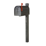 Titan Steel Curbside Mailbox W/Wellington Post