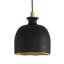 Bianca Ceramic Pendant (Matte Black and Gold)