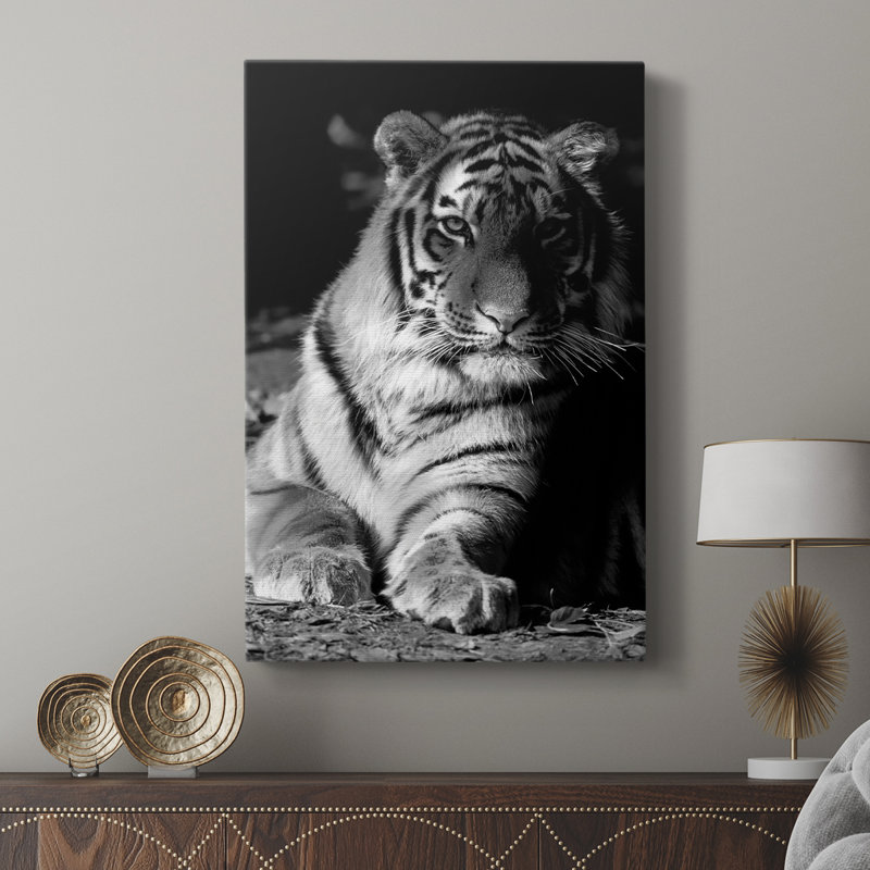 Tiger Repose - galerie Cavas, H 48 po x l 32 po