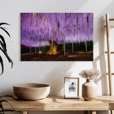 Elegant Purple Wisteria