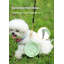 Bol pour animaux 3-en-1 pliable en silicone-121874103