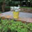 Pansy Ceramic Pot Planter-88134234