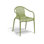 Palm Chair