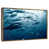 Floating Frame Gold