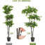 Arbre artificiel d'intérieur 6 pi avec tronc naturel et lumières DEL 6 pi