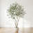 Artificial Potted Olive Tree-1111513492