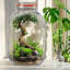 Paquet de 2 verres en pot de 1 gallon Syntic 
