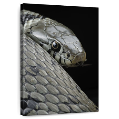 Brampt Necklace Snake