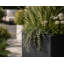Daisy Square Stone Effect Planter Pot, Indoor and Outdoor Plant Pot, Frost Resistant with Drainage Hole-656968713-656968715