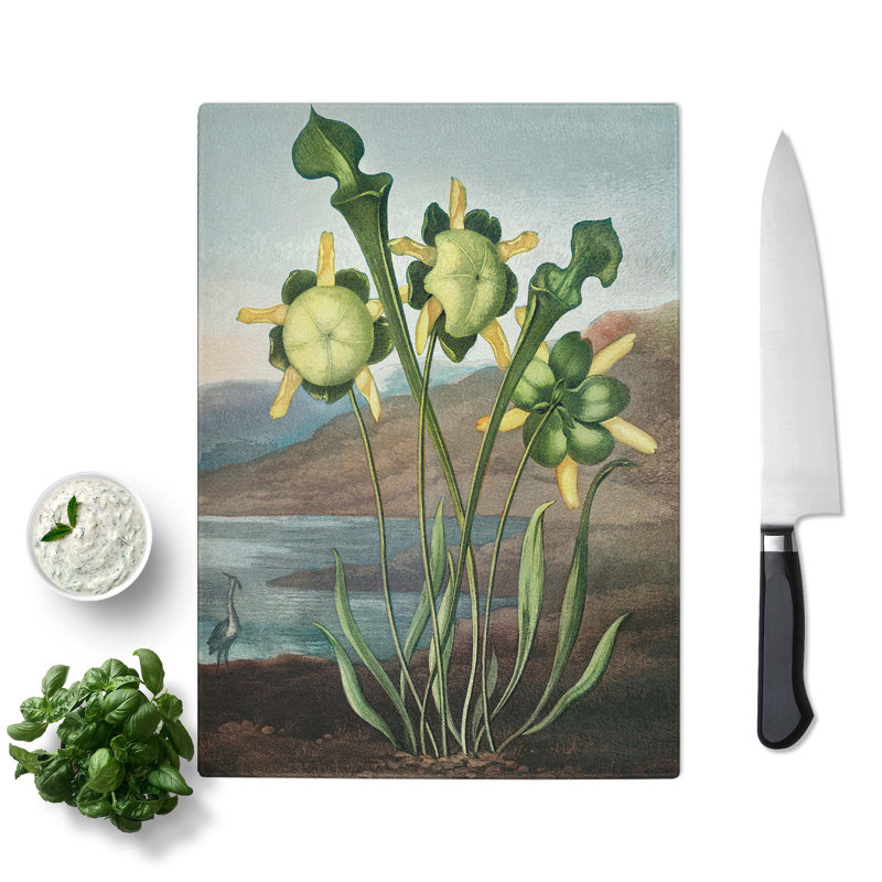 Tempered Glass Pitcher Plant by R.J. Thornton Chopping Board, 20 cm x 28.5 cm