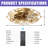 20" Low Profile Caged Flush Mount Ceiling Fan With Light And Remote Control, 6-Speed Reversible-1443050606