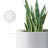 Centonze 3-Piece Pot Planter Set-1227525341