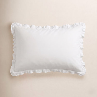 Classic Cotton Shams
