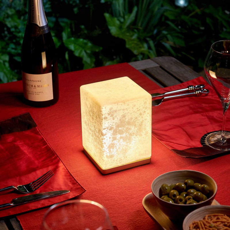 Alazah Delphine Rechargeable Wireless Table Lamp with Remote