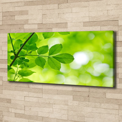 Green Leaves - Wrapped Canvas Print