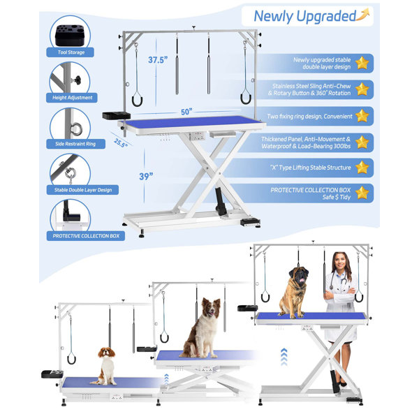 Doozx Electric Dog Grooming Table, Professional Grooming Table For Dogs ...