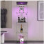Vitrine à DEL avec 4 tablettes vitrées avec porte et bibliothèque de plancher pour le bureau de la chambre à coucher, 64,7 po x 16,7 po x 14,3 po-375242818
