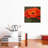 Red Poppy by John Zaccheo - Wrapped Canvas Gallery-Wrapped Canvas Giclée-37550413
