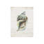 Shell Compilation II Print by Beverly Fuller-26943404-26943405
