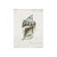 Shell Compilation II Print by Beverly Fuller-26943405-26943404