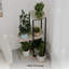 Plant Stand - Set of 6-597922294