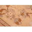 Tapis oriental brun clair en laine noué à la main 8 pi x 10 pi 2 po Baccio