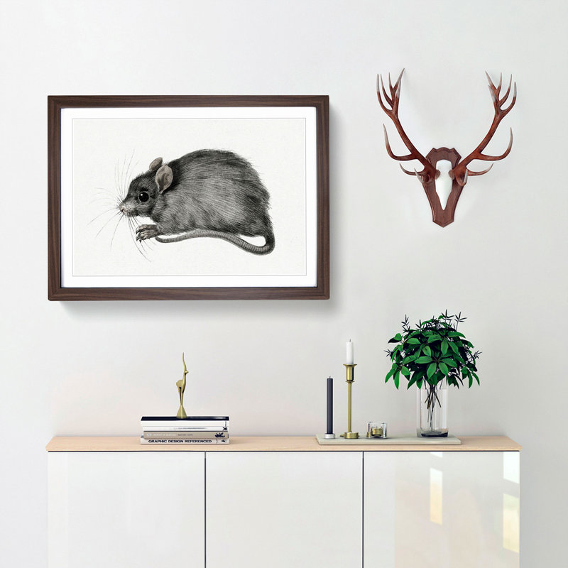A Mouse by Jean Bernard - Single Picture Frame Painting, Walnut Framed, 45cm H x 63cm W x 2cm D