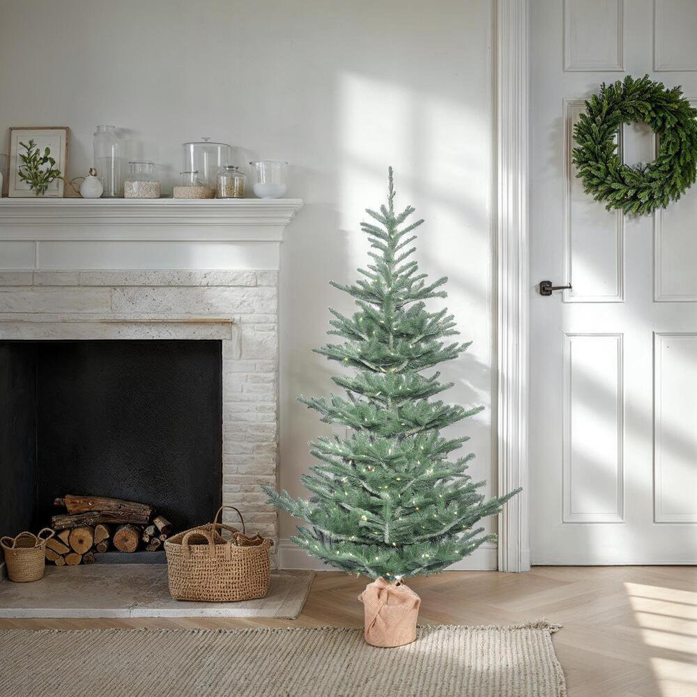 Alberta Blue Pre-Lit Spruce Christmas Tree, 5' H