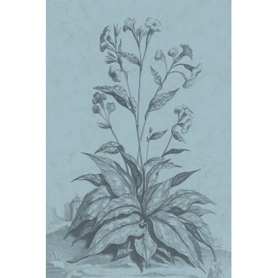 Botanical On Teal VI by Vision Studio - Wrapped Canvas Painting