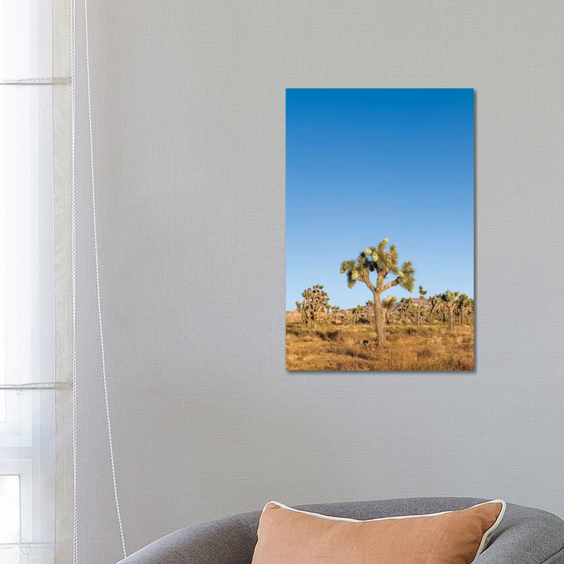 Joshua Trees by Melanie Viola - Wrapped Canvas Gallery-Wrapped Canvas Giclée, 20.32 cm H x 30.48 cm W