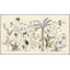 Boscage Chinoiserie Print