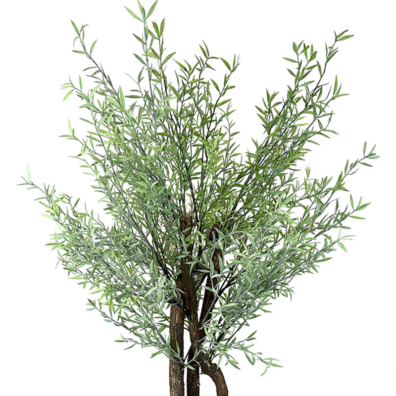 Green Myrtle Tree in White Pot