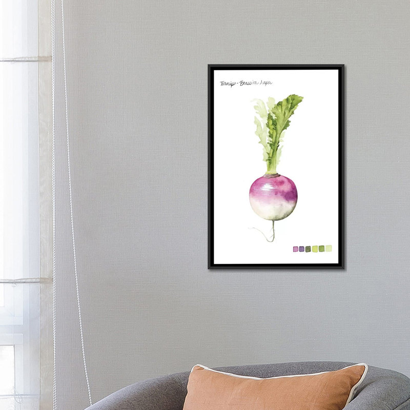 «Root Légume VI», impression sur toile, H 26 po x l 18 po x P 1,5 po, Pas de tapis, Toile avec cadre noir