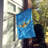 Battershell Double Sided 40'' H x 28'' W Polyester House Flag